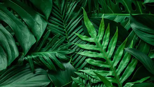 We care about our environment