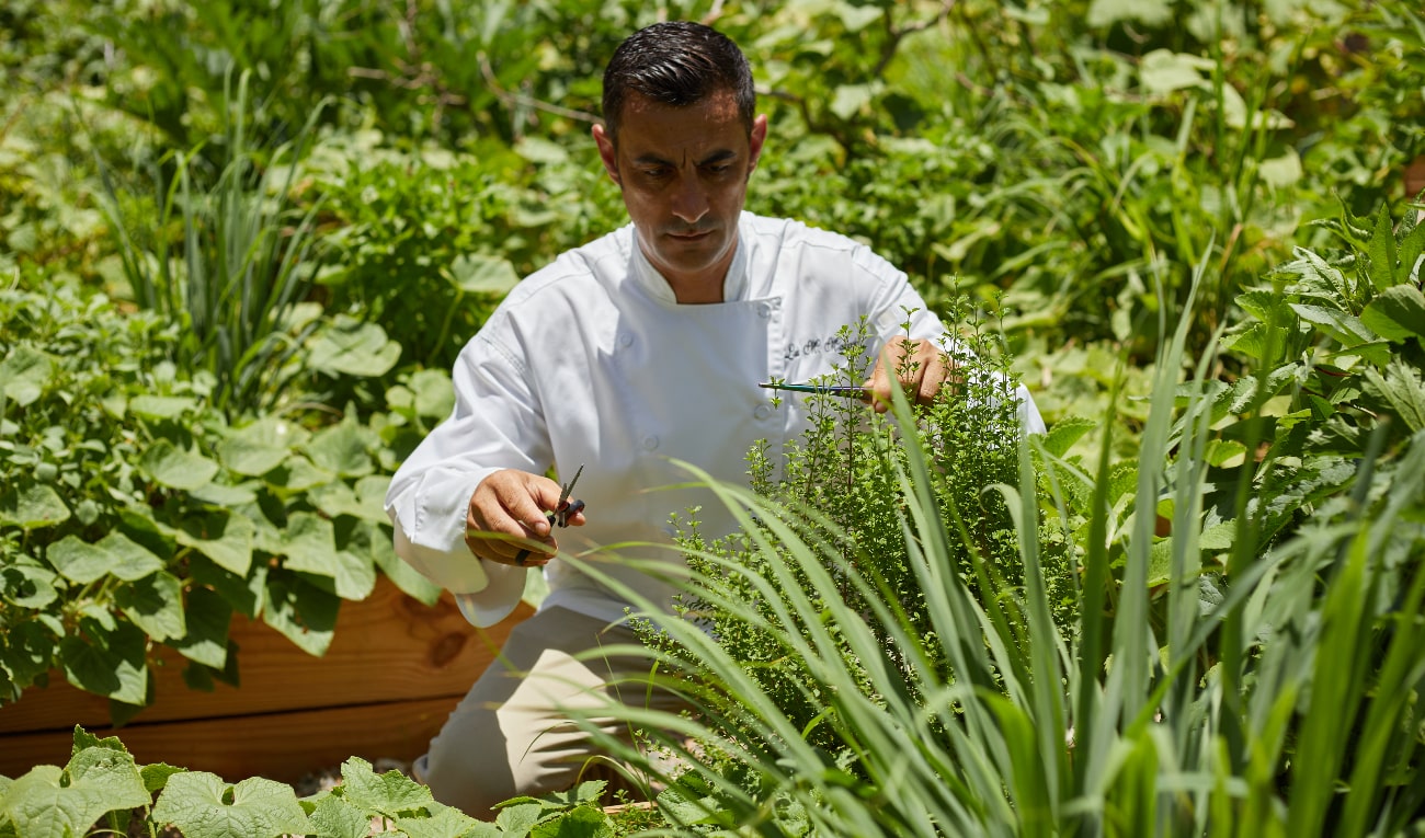 Del huerto al plato  