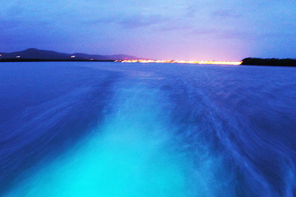 Le Lagon lumineux depuis Runaway Bay
