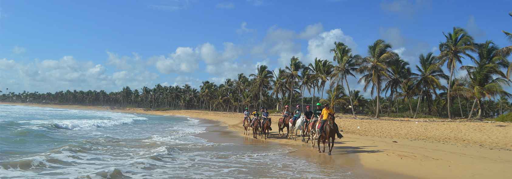 Paseo a Caballo 1 Hora