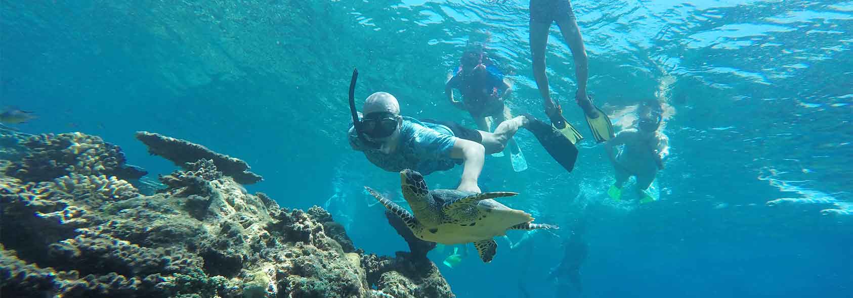 Tour Snorkeling Maya